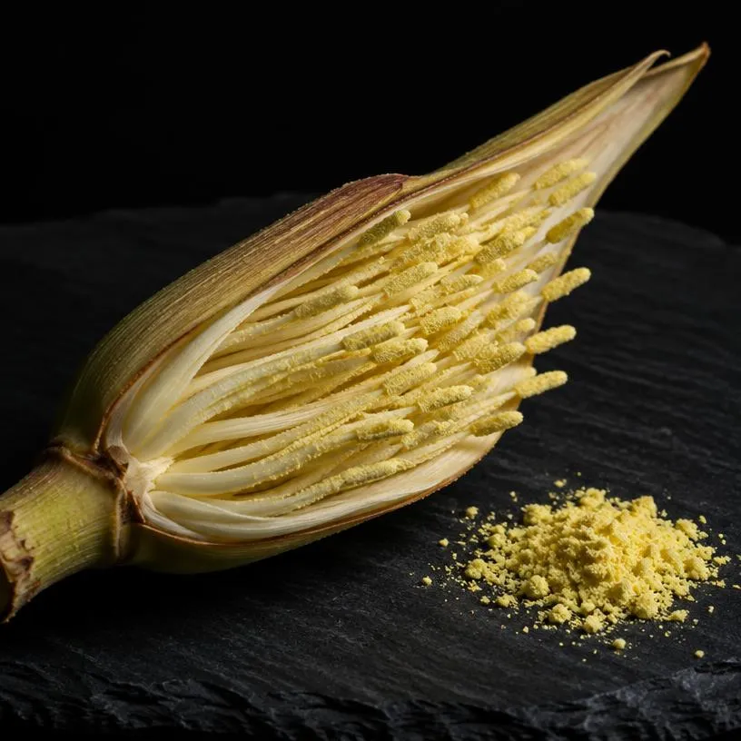 Pollen de palme — ingrédient de LigLigLig